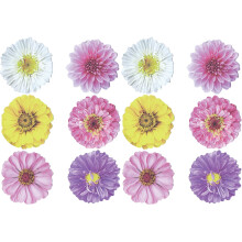 Graines de zinnia à fleurs de dahlia géantes, vivaces aux couleurs mélangées, sans OGM, de qualité supérieure, excellentes pour les plantations