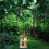 Y17A 2X Ρητίνη Αστεία Ειδώλια Gnome Με Πινακίδα Καλωσορίσματος Σανίδας Του 2