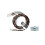 Tamiya TAMIYA 54599 LED Light (3mm Halogen White) (Use with TLU-01 & TLU-02) 1