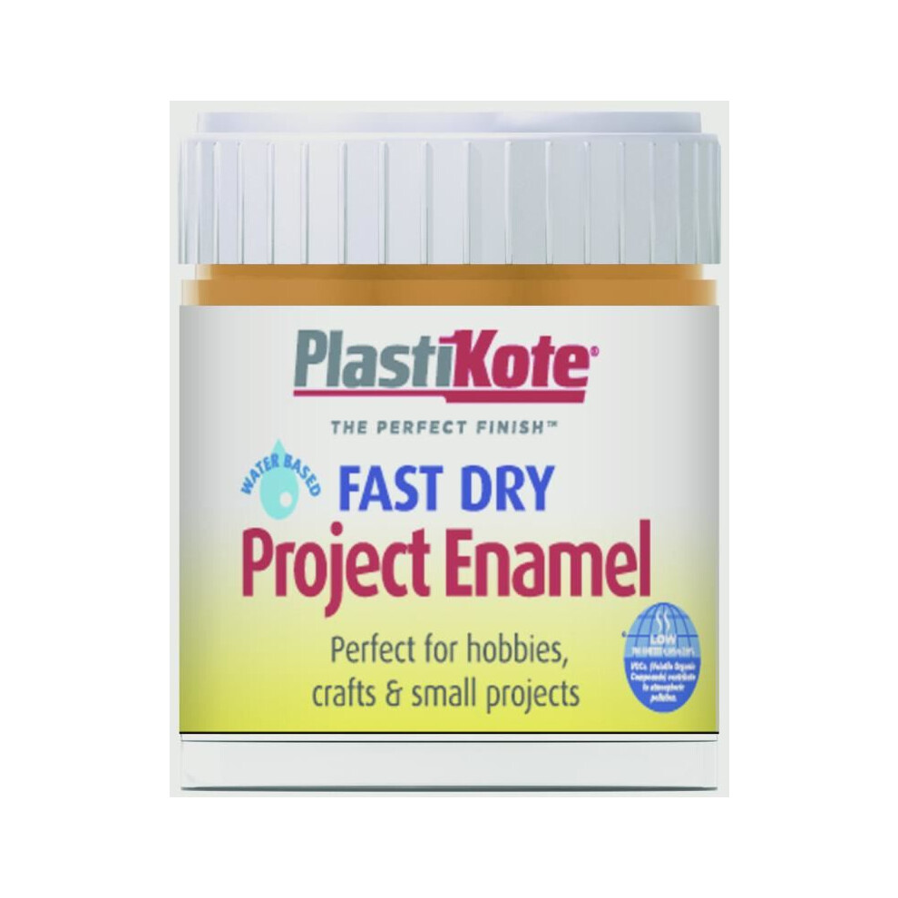 Plasti-Kote PKTB32W Fast Dry Enamel Paint B32 Bottle Copper 59ml