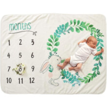 Growth Chart Milestone Blanket, High-quality Fabric, Movable Felt Frame For Baby Shower Gift, Snuggly Fleece Photo Prop, 28*40 In