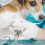 Pet Care Perfection, Ψαλίδι νυχιών γάτας με αντιολισθητικές λαβές, ειδικά επιλεγμένα 5