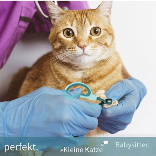Pet Grooming Mastery, Ψαλίδι νυχιών γάτας με λεπίδες από ανοξείδωτο ατσάλι, μοναδικός 2
