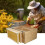 Bee Hive Frame Grip Beekeeping Frame Stand Supplies Tools Hive Support Bracket Rack Sturdy Garden Accessories 6