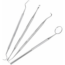 Ensemble d'outils dentaires professionnels, détartreur en acier inoxydable pour le nettoyage des dents, soins bucco-dentaires des animaux de