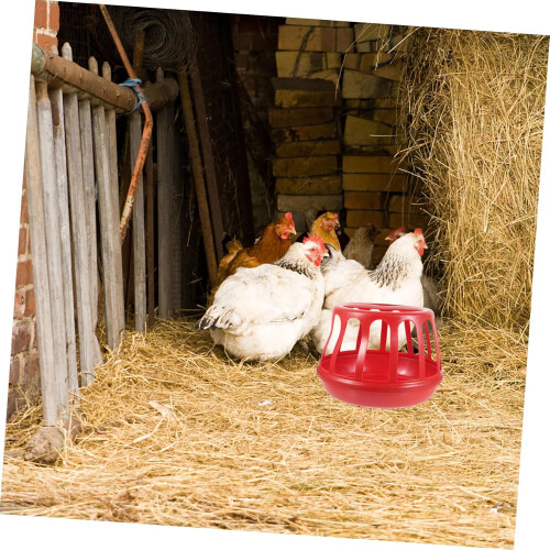 Chicken Feeder Plastic Poultry Cage Troughs EasyClean Design MultiFunctional Durable Plastic Construction 1