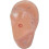 English Version Ear Acupuncture Earpins Model Model Auricular Application Model Ear Acupuncture Poin 4