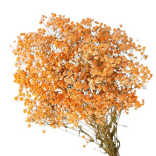 100% naturalna świeża gipsówka do dekoracji DIY, zakonserwowana gipsówka z jedwabnymi kwiatami Real Touch i regulowanymi łodygami, trwałe