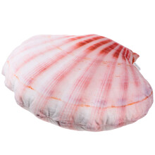 3Pcs Pink Plush Shell Hugging Throw Pillow Comfortable Home Decor