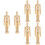 3 Pieces Drawing Tools Proportional Size Mannequin 6