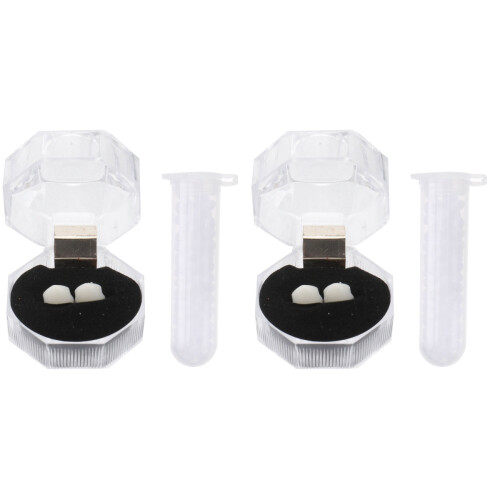 2 Sets Ghost Denture Decoration Prop for Prom Costume 2