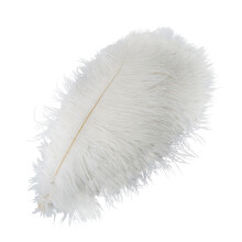 Dyed Ostrich Feathers for Vase Decoration, Real And Natural Feathers Hand Refined and Sterilized By High Temperature, Suitable for Floral Arrangement