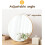 Wooden Tabletop Vanity Mirror 30cm, Round Makeup Mirror with 90 Adjustable Angle and HD Reflection 5