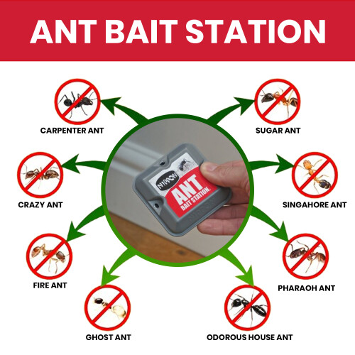 Nippon Ant Stop Killer Bait Stations Twin Pack 1