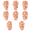 8Pcs Ear Acupuncture Teaching Model in Chocolate PVC for Massage 9