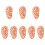 8Pcs Ear Acupuncture Teaching Model in Chocolate PVC for Massage 6