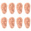 8Pcs Ear Acupuncture Teaching Model in Chocolate PVC for Massage 3