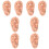8Pcs Ear Acupuncture Teaching Model in Chocolate PVC for Massage 5