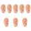 8Pcs Ear Acupuncture Teaching Model in Chocolate PVC for Massage 7