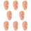 8Pcs Ear Acupuncture Teaching Model in Chocolate PVC for Massage 10