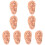 8Pcs Ear Acupuncture Teaching Model in Chocolate PVC for Massage 4