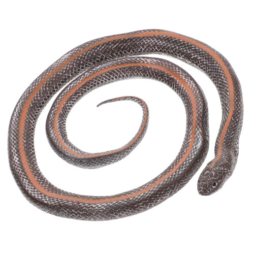 5pcs Simulated Snake Prop Realistic Figurine Model 2