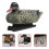 2Pcs Lightweight Plastic Floating Duck for Hunting and Pond Decor 11