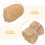2Pcs Escova De Para Garrafa E Mamadeira De Natural 8