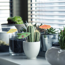 Cocktailparapluutjes, tropische Hawaïaanse tiki-feestdecoraties, mini-drankparapluutjes met charmante designs voor op de taart