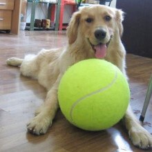 Giant 24 cm Haustier-Kauspielzeug aufblasbarer Tennisball Langlebig für aktive Hunde & Katzen