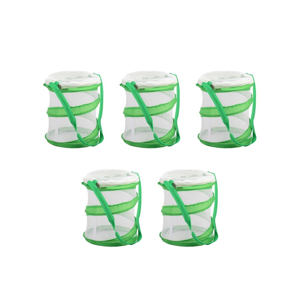 5X Small Praying Mantis Stick Insect Butterfly - Cage Housing Enclosure Light/Green 6031497023443