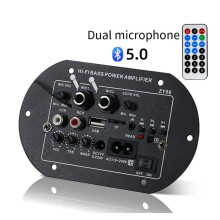 12 V 24 V 220 V HIFI-Bass-Leistungsverstärkerplatine mit USB-Player-Modul, Zwei Mikrofonen für Audiophile, AU-Stecker