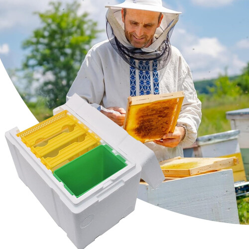 Bee Box Insulation Foam Bee Castle  Beekeeping Supplies For Starter Apiary, Pollination Breeding 1