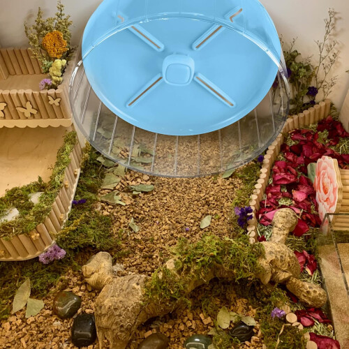 Pet Playtime Revolution, Διαφανής Πλαστικός Τροχός, Διπλά Μεταλλικά Ρουλεμάν, Παιχνίδι 1