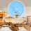 Pet Playtime Revolution, Διαφανής Πλαστικός Τροχός, Διπλά Μεταλλικά Ρουλεμάν, Παιχνίδι 3