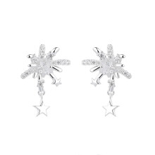 S925 Sparkling Firework Star Earrings, Sweet Dainty Studs for Women