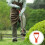 PVC Material D Grip Handle, Comfortable Use for Replacement Garden Tools Orange 8