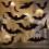 Τρομάξτε λίγο: Κλασικά στοιχεία για το Halloween και μαύρες νυχτερίδες, αράχνες, 5