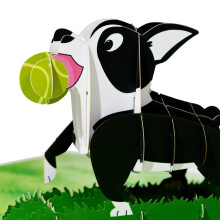 Pop-up-kort til Boston Terrier-elskere, alle lejligheder, 3D-pop-up, indviklet design, laserskåret håndlavet premium karton, unikke gaver, mors dag.