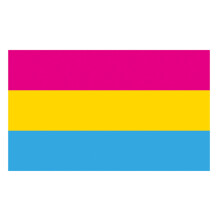 Bandiera LGBT pansessuale, realizzata in poliestere con doppie cuciture, colori vivaci e resistenti allo sbiadimento, ideale per esposizione interna