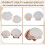 15 PeçAs Natural Sea Shell  Branco, Conchas de Vieira de 4-4,7 Polegadas para Artesanato DIY, Servir Comida, Assar e Mais 1