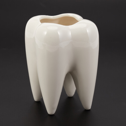 Tooth Shape White Ceramic Flower Pot Modern Design Planter Teeth Model  Desktop Pot  Gift(without plants) 2
