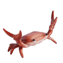 New Japanese  Cute Crab Pen Holder Weightlifting Crabs Penholder Bracket Storage Rack Gift Stationery