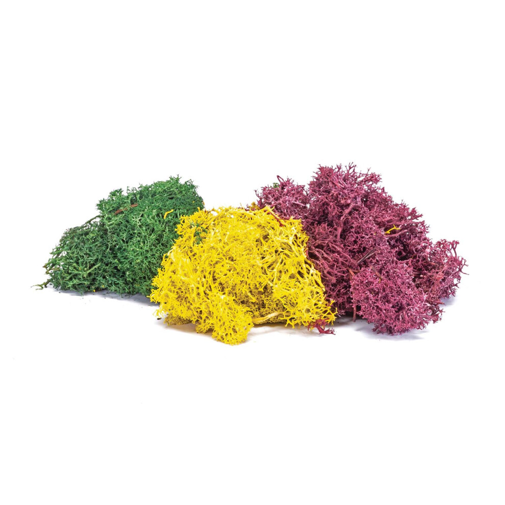 Hornby R7196 Lichen - Autumn Mix Oo Gauge