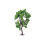 Hornby Hornby R7214 Pear Tree OO Gauge 1