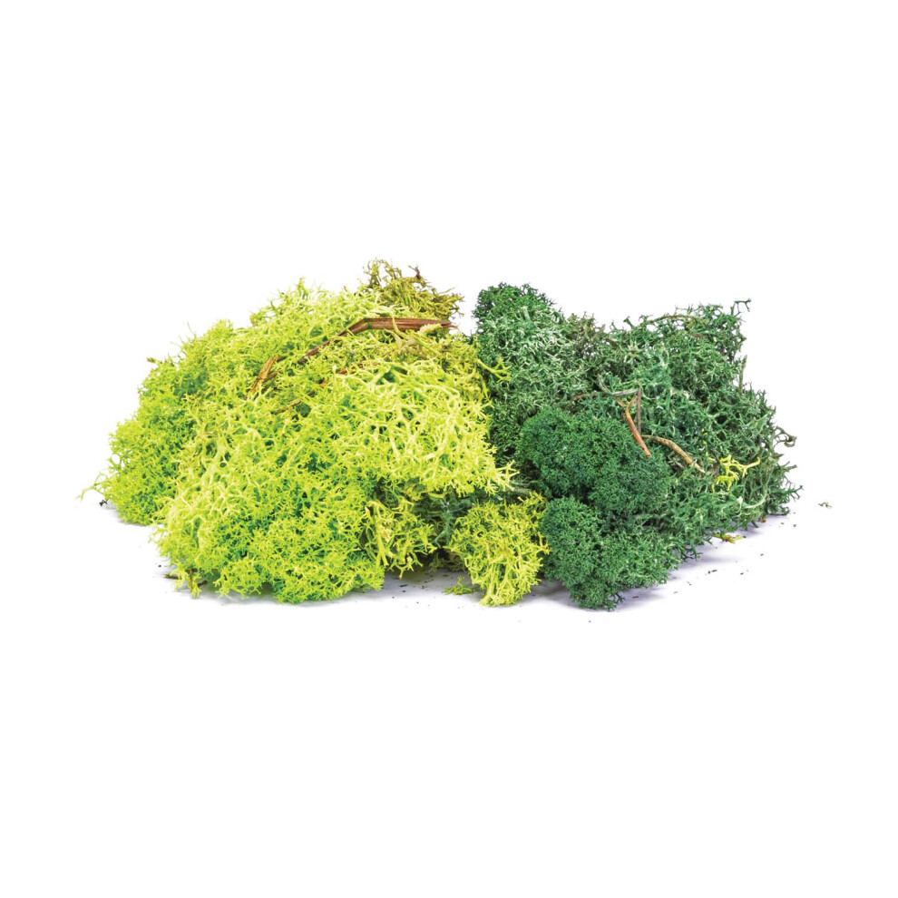 Hornby R7194 Lichen - Green Mix Oo Gauge