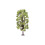 Hornby Hornby R7221 Lime Tree OO Gauge 1