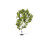 Hornby Hornby R7215 Birch Tree OO Gauge 1
