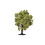 Hornby Hornby R7213 Apple Tree (with Fruit) OO Gauge 1