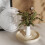 Candle Holder Mold Suitable for Crafting Unique Coasters and 5